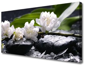 Vászonkép virág Stones 120x60 cm