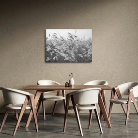 Kép - Fű a szélben (70x50 cm)