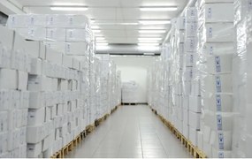 Ipari fénycső LIMEA T8 1xG13/20W/230V IP65 120cm