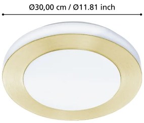 Eglo 900369 - LED Fürdőszobai mennyezeti lámpa CARPI LED/10,8W/230V IP44