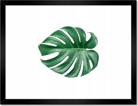 Poszter keretben 40x30 Lyukas szörny levél