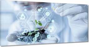 Vászonkép 60x30 Téma az iskola osztályába Biológia