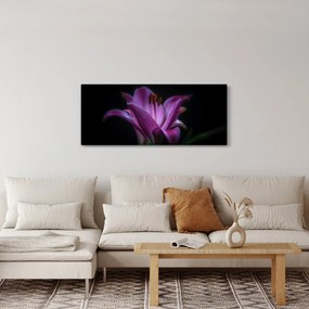 A liliom képe (120x50 cm)