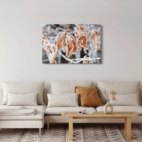 Kép - Fagyott levelek (90x60 cm)
