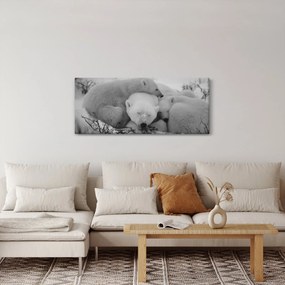 Kép - Jegesmedvék, fekete-fehér (120x50 cm)