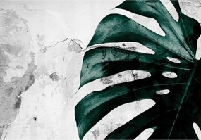 Fotótapéta Monster Levelek Beton Falazat Vakolat Fali Tapéta Hálószoba 368x254