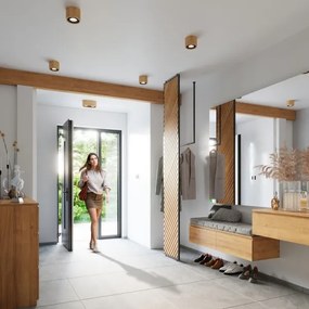 Sollux SL.0914 - Mennyezeti lámpa BASIC AR111 2xGU10/40W/230V bükkfa