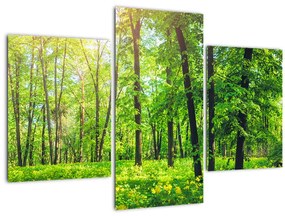 Kép - Tavaszi lomberdő (90x60 cm)