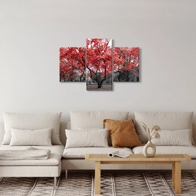 Kép - vörös fák, Central Park, New York (90x60 cm)