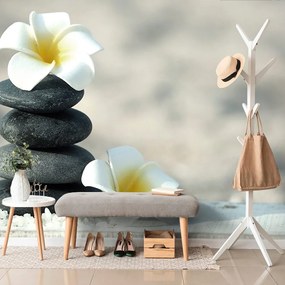 Öntapadó fotótapéta harmonikus kövek és plumeria virág