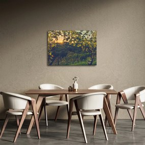 Kép - szőlőültetvény (70x50 cm)