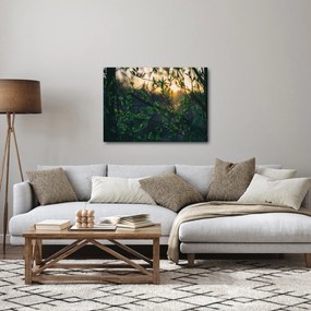 A ragyogó nap képe a fák gallyain keresztül (70x50 cm)