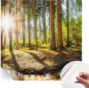 Öntapadós Dekoratív Fotótapéta Hálószobába Erdei idill 250x250 cm