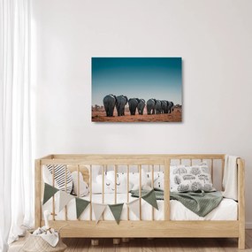 Kép - Elefántok indulása (üvegen) (70x50 cm)