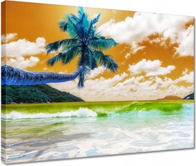 Vászonkép 40x30 Trópusok Tájkép Pálma