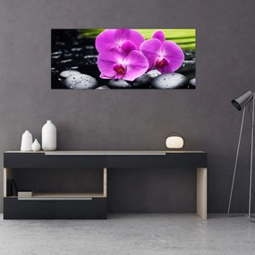 Kép - Orchideák (120x50 cm)