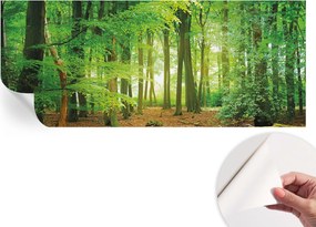Öntapadós Dekoratív Fotótapéta Hálószobába Zöld erdő 250x104 cm