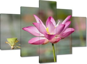 Festmények 150x105 Kalapos madár Tájkép Kilátás