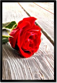 Poszterek keretben 40x60 Kozmikus rózsa