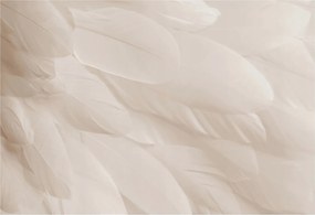 Flizelina Dekoratív Fotótapéta Hálószobába Illóolaj tollak 152x104 Ragasztó