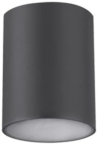 Rabalux 7819 - Kültéri spotlámpa ZOMBOR 1xGU10/35W/230V kerek IP54