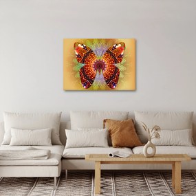 Kép - etno pillangó (70x50 cm)