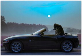 Poszterek 200x135 Bmw Esti idő