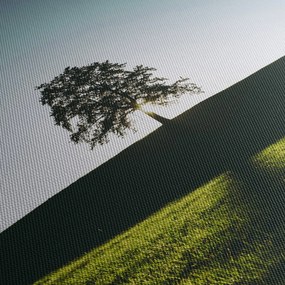 Természet kép - fa (70x50 cm)