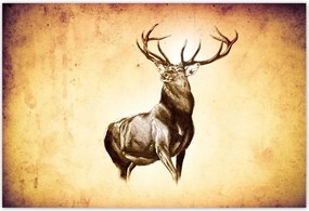 Poszterek 155x105 Szarvas szarvakkal