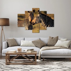 Kép - Két zebra (150x105 cm)