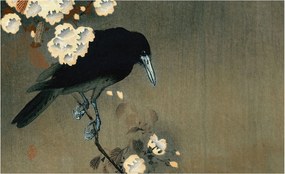 Divatos 3D Fali Tapéta Egzotikus természet 416x254 Ragasztóval