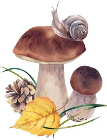 Művészeti fotózás Porcini mushrooms with autumn leaves, snail, Marina  Skryzhova, (40 x 40 cm)