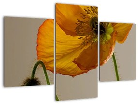 Modern kép - virágok  (90x60cm)