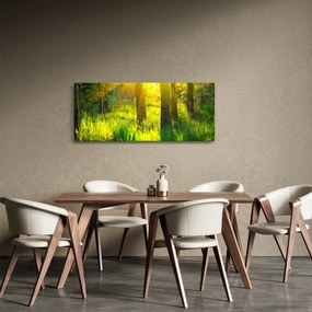 Kép - Az erdő tavaszi ébredése (120x50 cm)