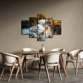 Kép - Erdei patak (150x105 cm)
