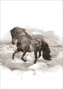 Dekoria Horse poszter