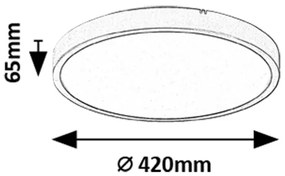 Rabalux 71439 - LED Fürdőszobai mennyezeti lámpa ALENZO LED/36W/230V IP44 fekete