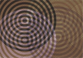 Fotótapéta Falra az előszoba konyhájába Hipnotizáló körök 208x146 Ragasztó