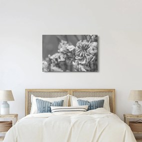 Kép - Szárított virágok (90x60 cm)