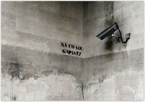 Poszterek 100x70 Banksy Mit bámulsz?