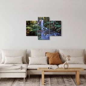 Ausztrál esőerdő képe (90x60 cm)