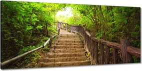 Vászonkép 150x70 Lépcsők az erdőbe