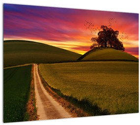 Mező és a színes ég képe (üvegen) (70x50 cm)