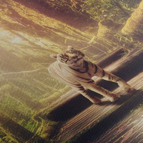 Tigris képe (90x60 cm)