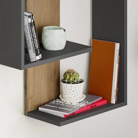 Fali polc Paranoid - Anthracite, Dark Oak