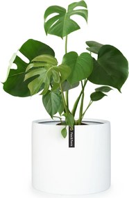 Fox & Fern Gendt, virágcserép, fiberstone, beltér/ kültér