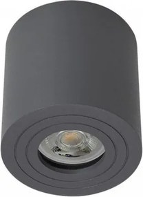 SMARTER 90180 Hengeres Mennyezeti Lámpa GU10 IP65