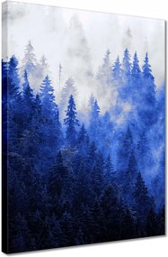 Vászonkép 30x40 Kék táj Hegyek