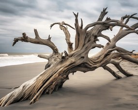 Poszter 76x60,5cm Örökkévalóság Elvarázsolt a fában