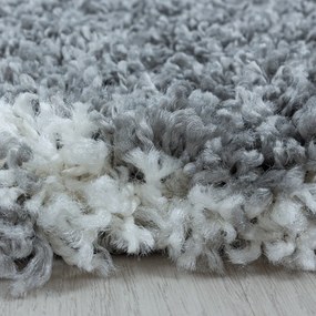 Szürke szőnyeg 160x230 cm Salsa – Ayyildiz Carpets